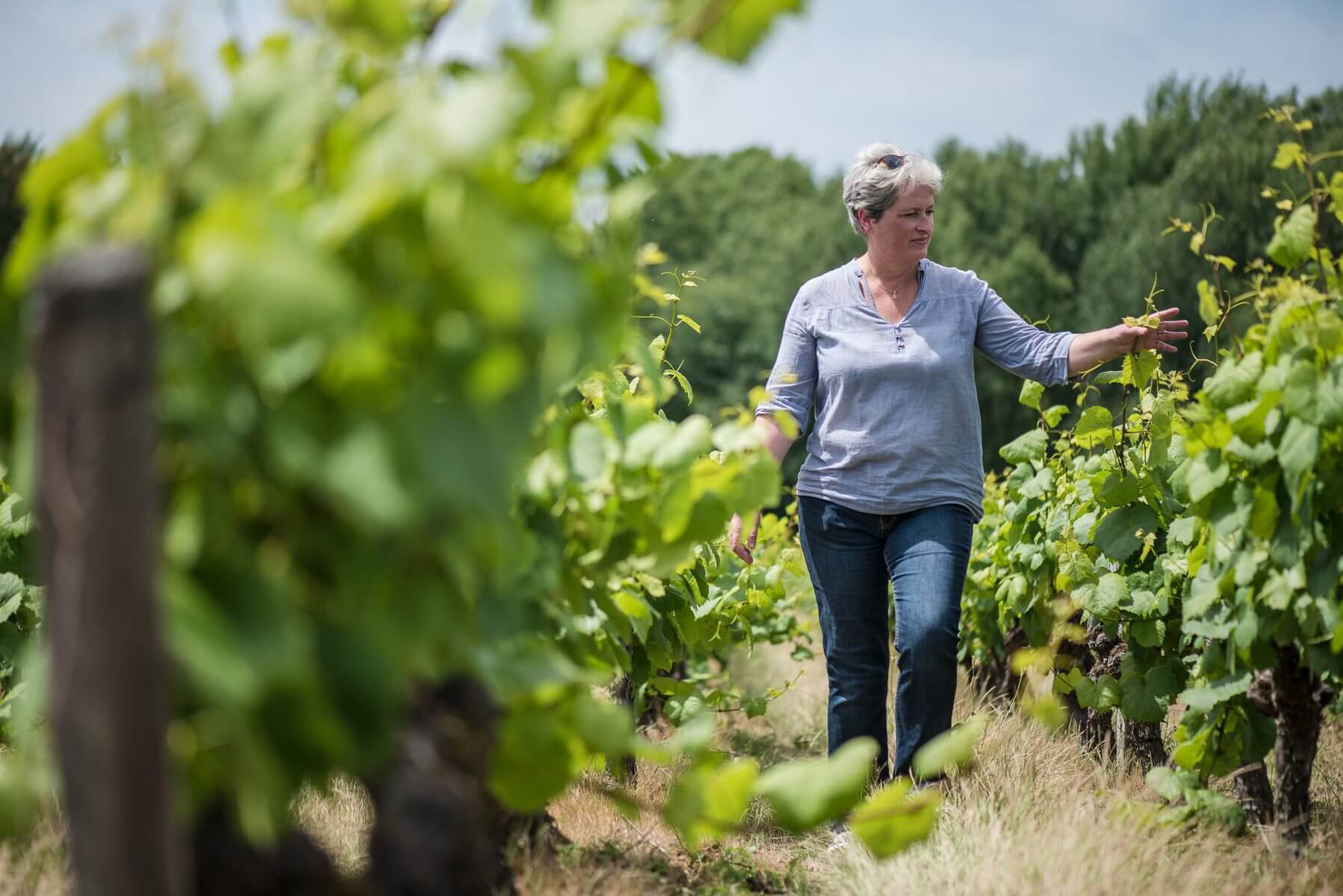 Les Vignerons De Nantes S'expriment - Muscadet