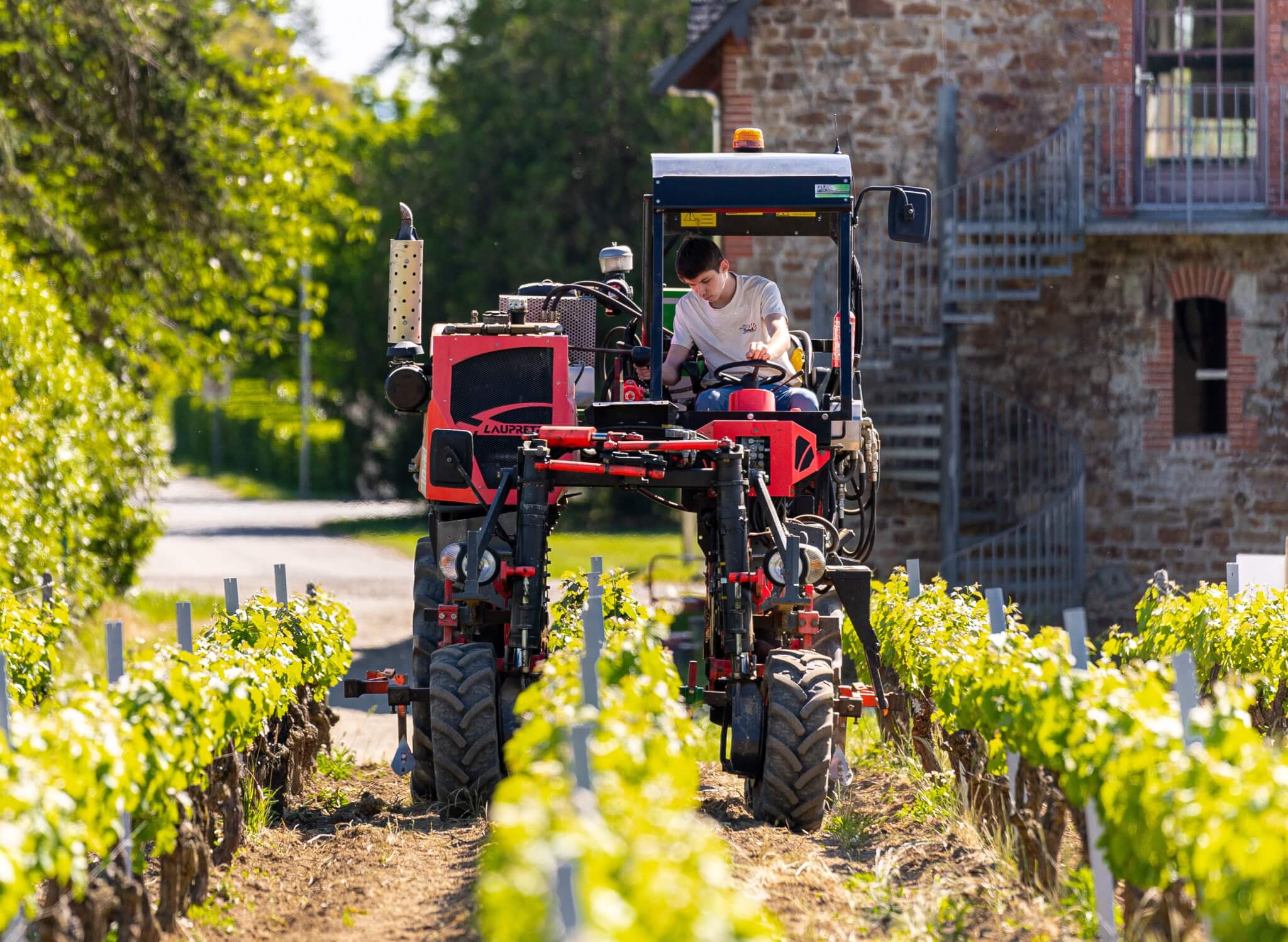 Alternance En Viticulture Mode Demploi Muscadet